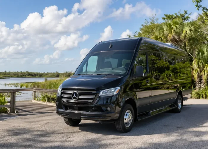 Van Mercedes Sprinter preta no Parque Nacional dos Everglades, transporte ida e volta saindo de Miami Beach